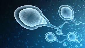 Top Proven Methods to Boost Sperm Volume Fast