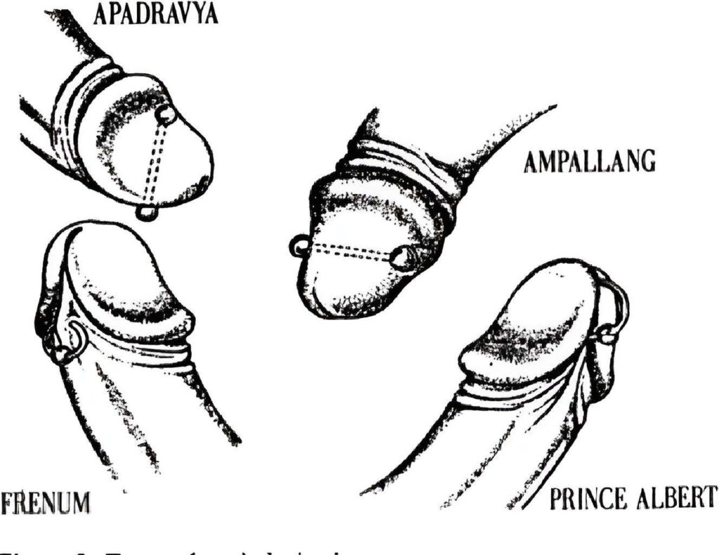 Penis Piercings UK